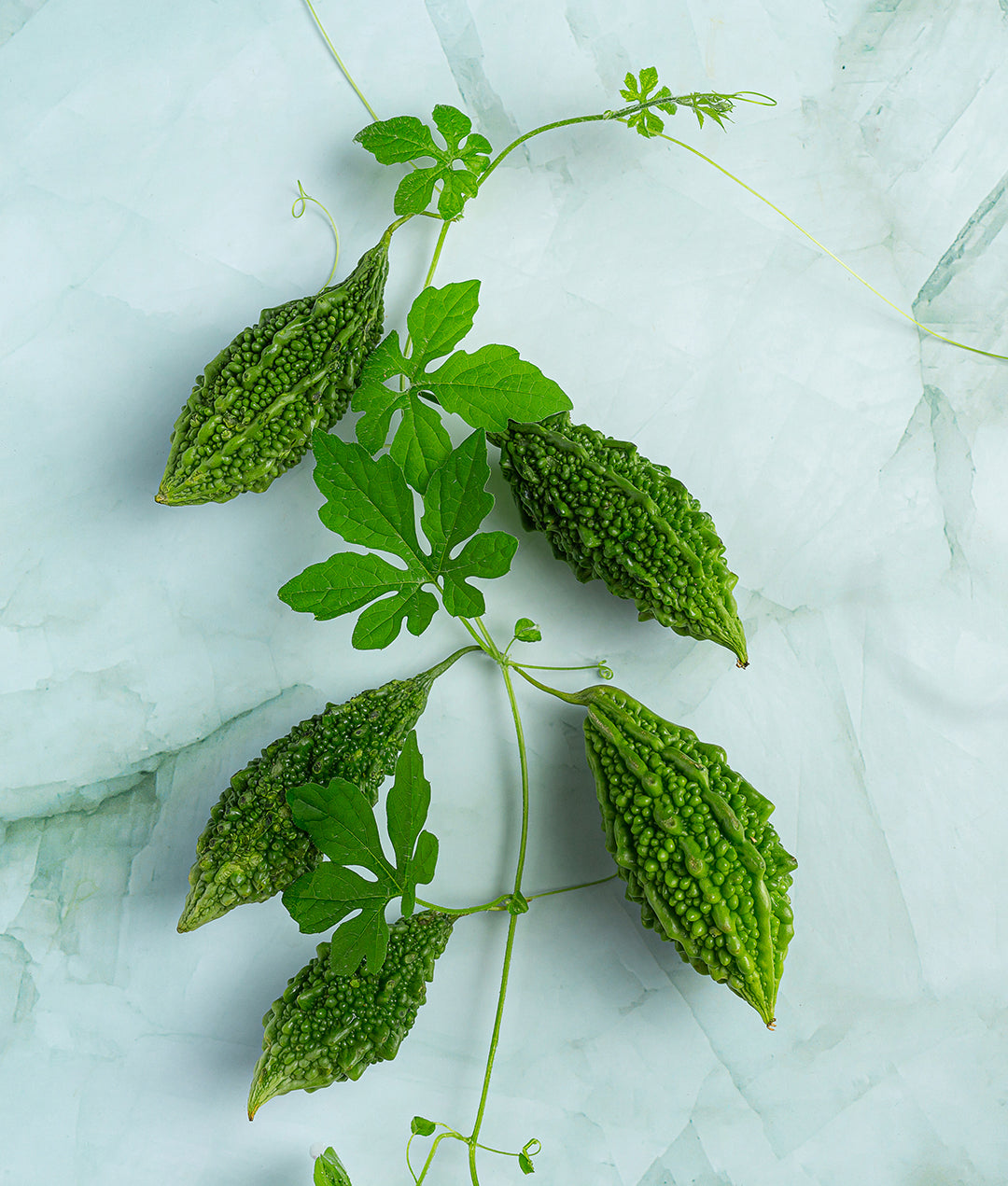 Bitter Gourd & It's Nutritional Benefits Dhow Nature Foods (TZ)