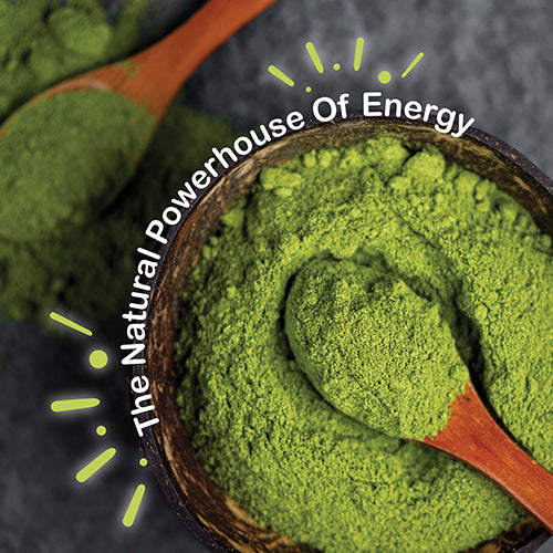 Moringa: The Powerhouse Of Energy