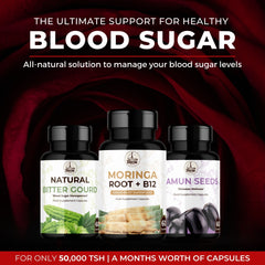 Blood Sugar Bundle