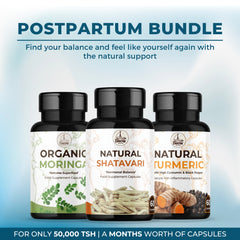 Postpartum Bundle